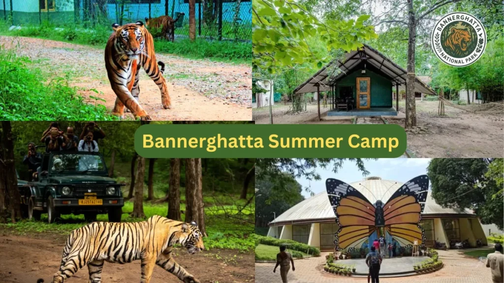 Bannerghatta Summer Camp