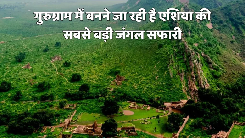 Jungle safari in Aravali hills