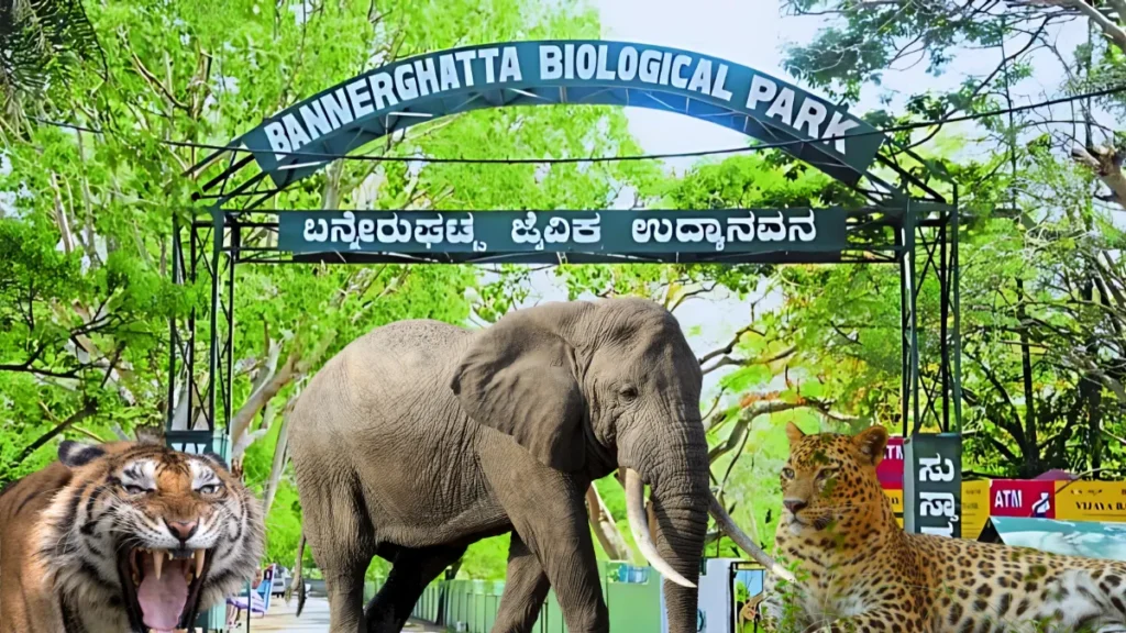 Bannerghatta National Park