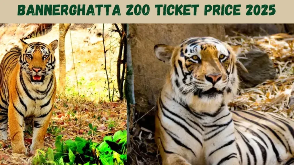 Bannerghatta Zoo Ticket Price 2025