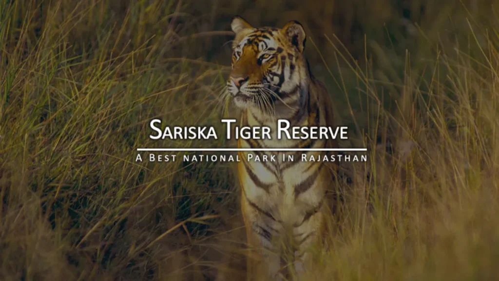 Sariska Tiger Reserve Tickets