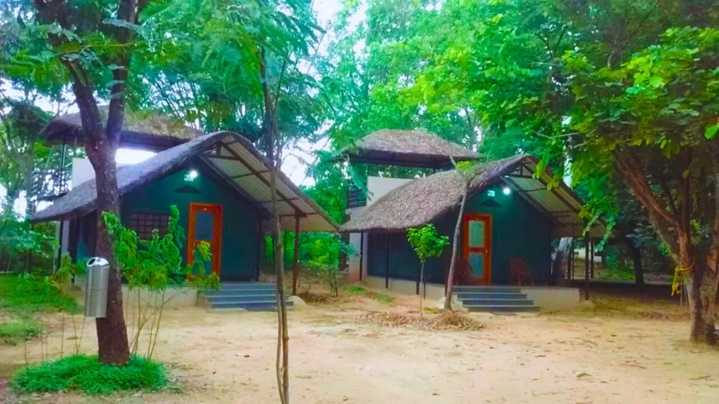 Bannerghatta National Park Resort