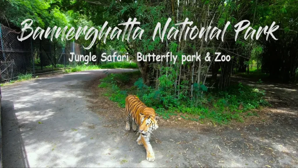 Bannerghatta National Park Bengaluru Karnataka