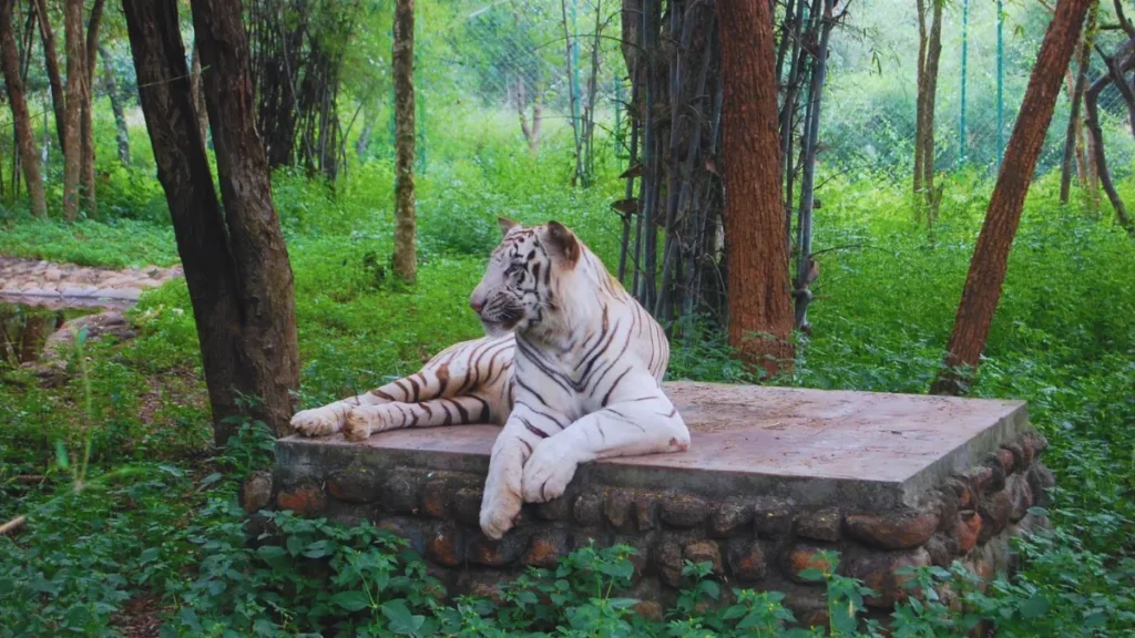 नेशनल पार्क बैंगलोर