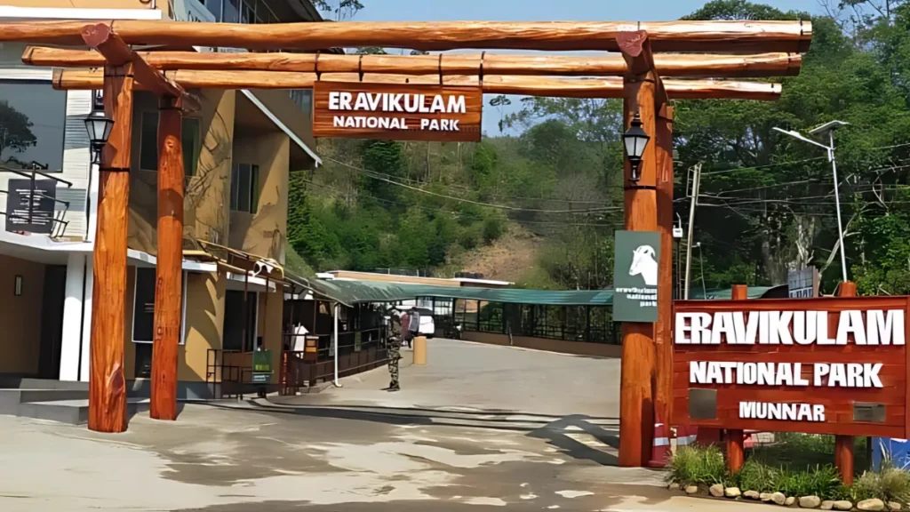 Eravikulam National Park