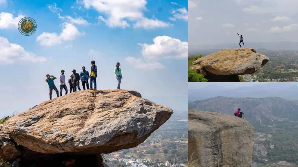 Bannerghatta Hills