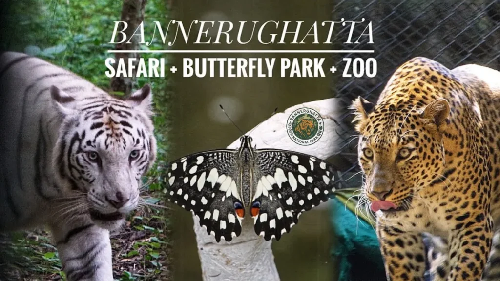 Bannerghatta National Park timings and ticket price