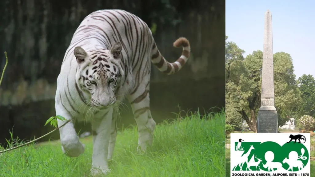 Alipore Zoological Garden