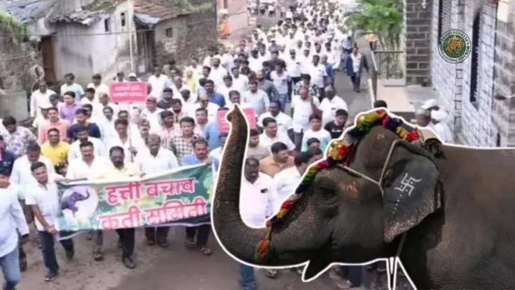 नंदनी गांव