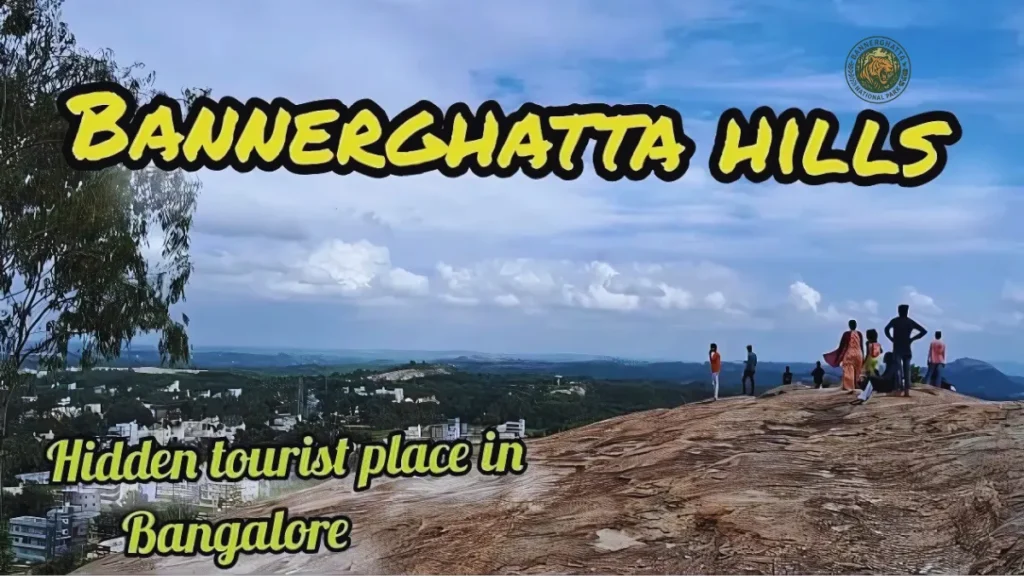 Bannerghatta Hills