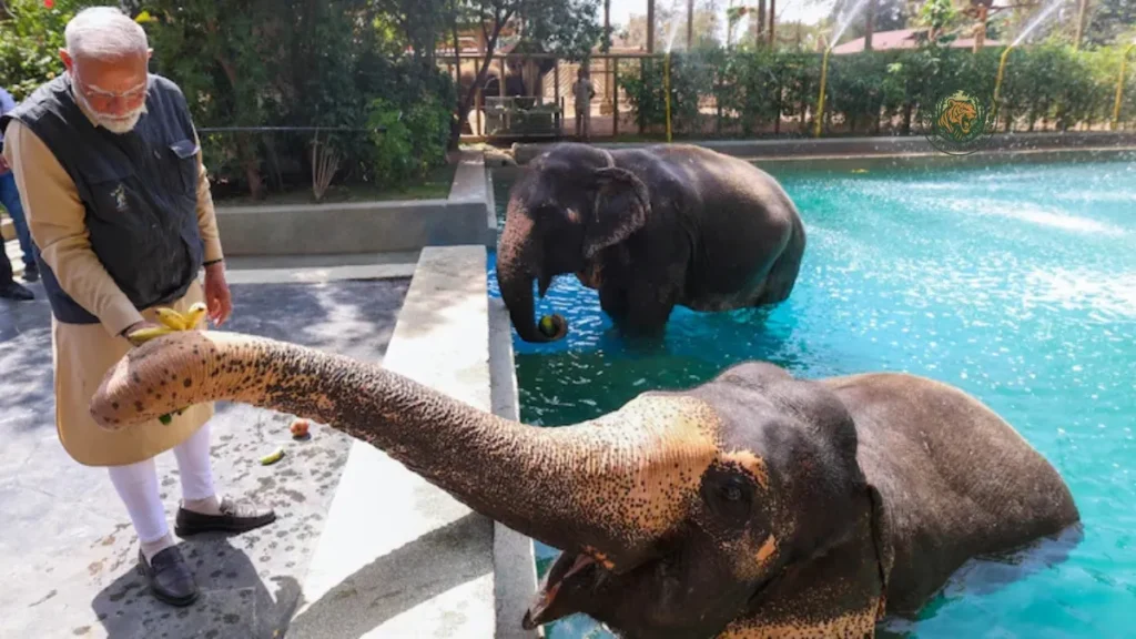 Is Vantara a Private Zoo