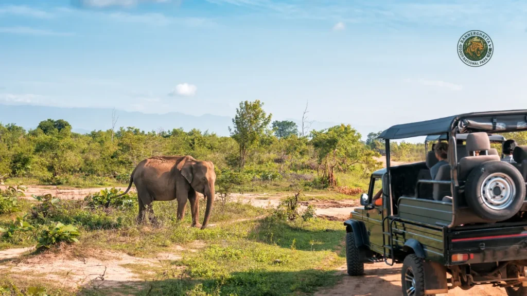 In Which State Is Aravali Safari Park