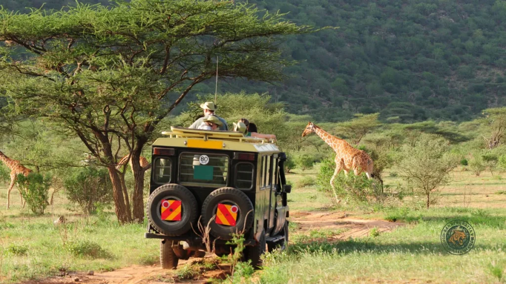 Aravali Jungle Safari Ticket Price