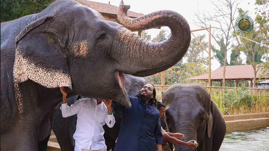 Working at Vantara Animal Kingdom