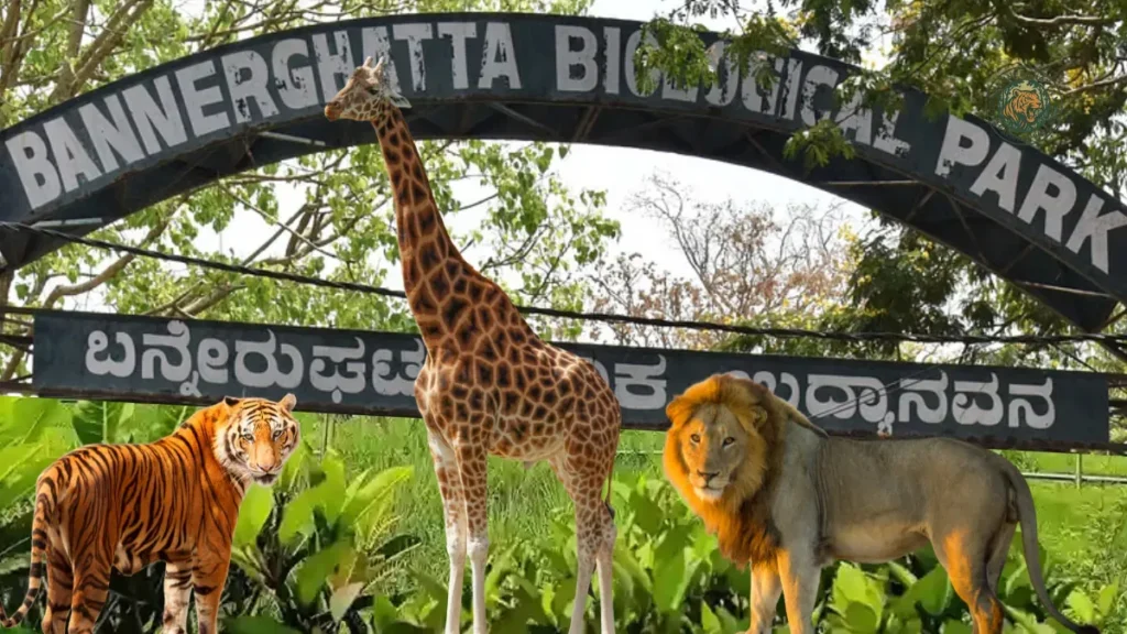 Bannerghatta National Park timings and ticket price