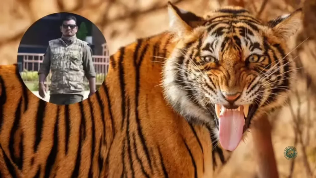 Tadoba Tiger Reserve