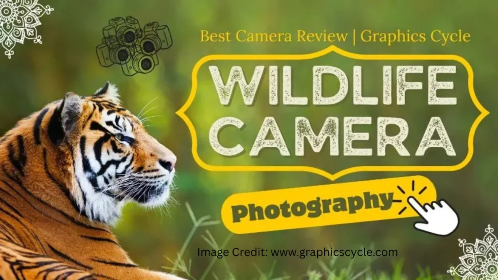 Best Wildlife Camera